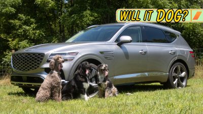 2025 GV80 with Dogs