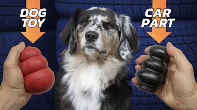 KONG vs VW Part2