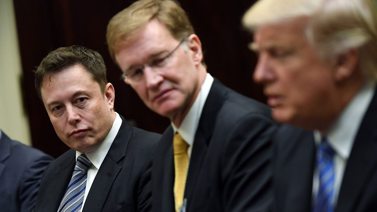 donald trump elon musk model 3 support hero